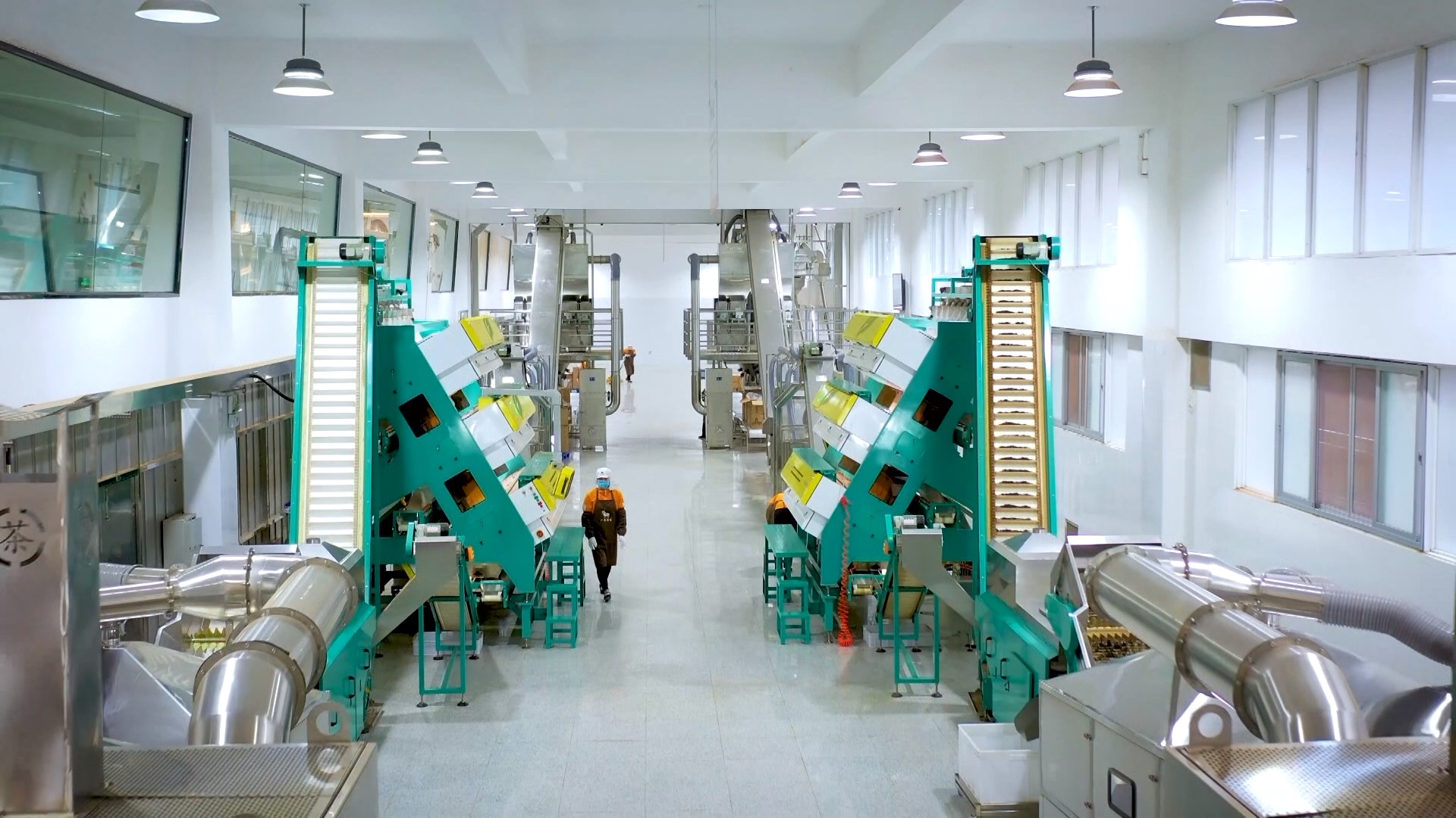 三争五创引领，八马茶业 以现代科技重塑传统农业，锻造新质生产力